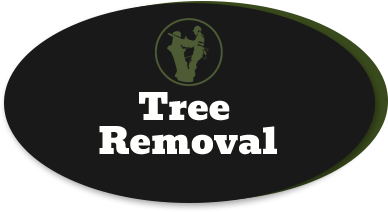 Tree Removal