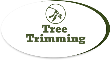 Tree Trimming