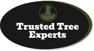 Trusted Tree Experts